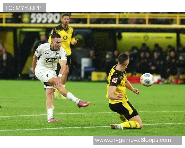 德甲精彩对决霍芬海姆迎战勒沃库森全场直播信息抢先看